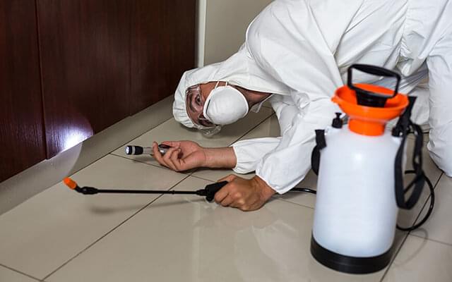 Residential Pest Control Service