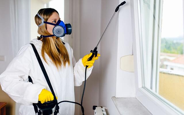 Residential Pest Control Service