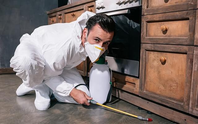 Residential Pest Control Service