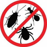 Enjoy Your Home Totally Pest Free
