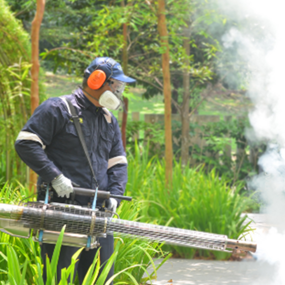 Enjoy Your Home Totally Pest Free